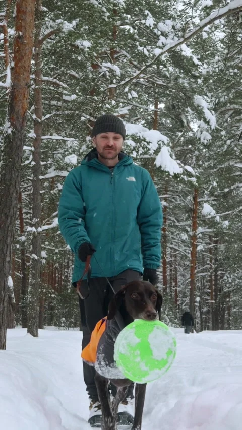 Man and Dog Walking in Snowfall Stock-Footage 320803732