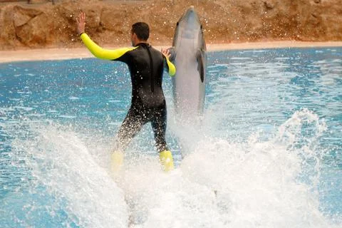 Man and dolphin Stock Photos