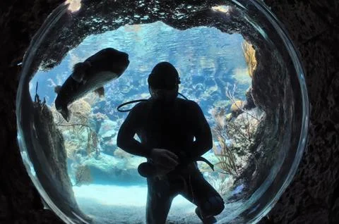 Man and fish Stock Photos