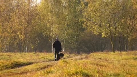 Man and German shepherd walking in autumn city park. Stock Footage 169873911