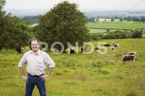 Man And A Herd Of English Longhorn Cattle In A Pasture
