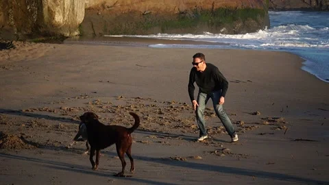 A man and his dog. Vídeos de archivo 303553718