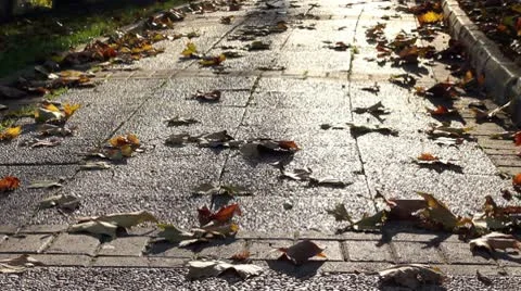 Man and his Shadow 2 스톡 동영상 9841606