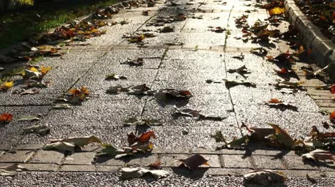 Man and his Shadow Stock Footage 9838098