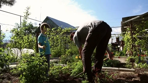 A man and his son planted the tree Stock Footage 76022793