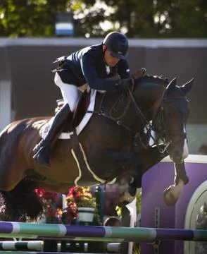 Man and horse jumping Stock Photos