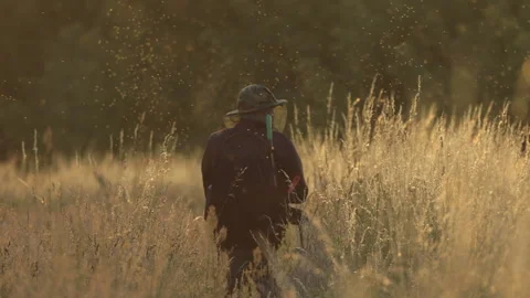 Man and many insects, 4K slomo Stock Footage 245090835