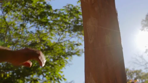 Man and Nature Connection Stock Footage 27491627
