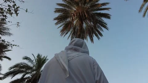 The man and the palm tree 動画素材 159578648