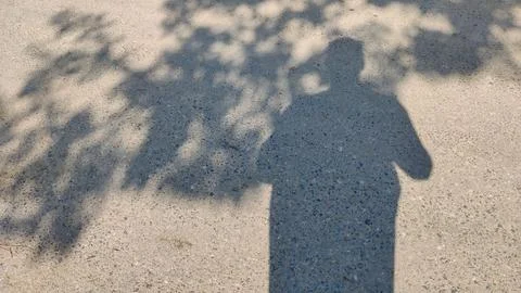Man and tree shadow on ground in bright daylight scene Stock Photos