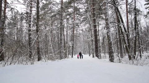 Man and two children run in the winter forest. Slow motion Stock Footage 68518246