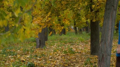 Man and woman go by the hand in autumn park Stock Footage