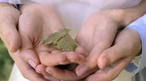 Man and woman holding a little green plant Stockbeeldmateriaal 59759271