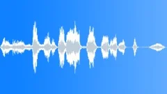 Man and Woman, Laugh, Middle Age, ShortSound Effect