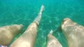 The man and a woman swimming under the water. slow motion HD Footage