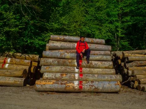 The man and woods Stock Photos
