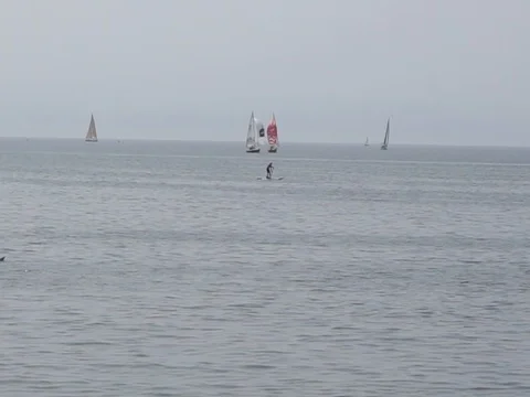 Man and yachts Vídeo Stock 86407897