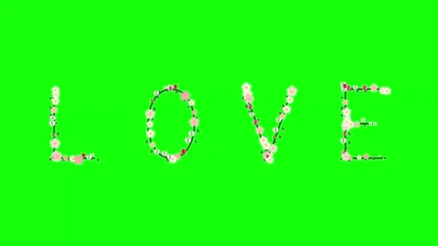 Man Animated on Green Screen Chroma Key Background Stock Footage 337996518
