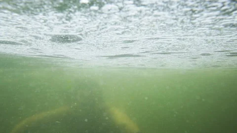 Man approaches camera diving Stock Footage 143776813