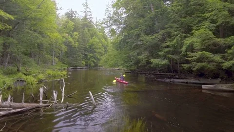 Man Approaches River Bend in Kayak Stock Footage 75873633