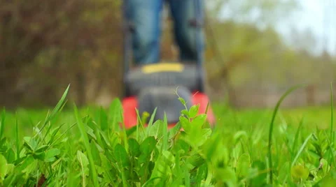 Man approaching with lawnmower Video stock 63028186