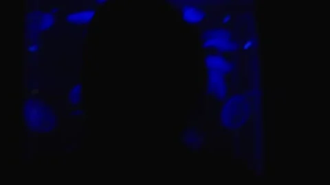 Man in aquarium Stock Footage 237417817