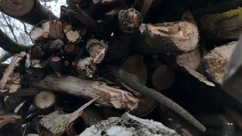 Man arranges a pile of firewood while preparing fuel for heating or for a fire Stock Footage 185173088
