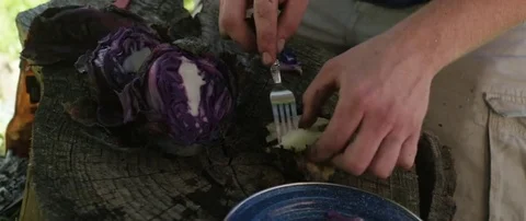 Man arranging cooked vegetable on plate at campsite Stock Footage 69199970