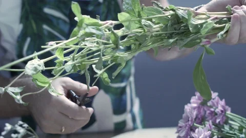 Man arranging flowers Vidéo 124993711
