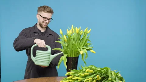 Man arranging yellow tulips on table on blue background Video stock 267897992
