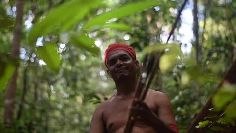 Man with arrows in the forest Stock Footage 200928031