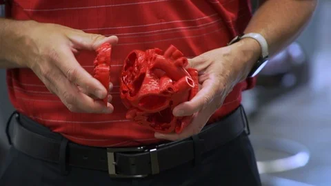 Man assembling a 3D printed model of a human heart Stock Footage 99054818