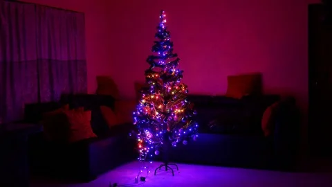 Man assembling artificial Christmas Tree timelapse 4k (4096x2304) Stock Footage 79115520