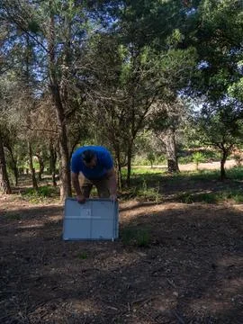 Man Assembling Picnic Table in the Forest Stock Photos