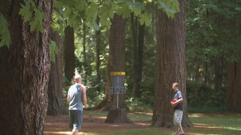 Man Attempting to Get His Disc in a Frisbee Golf Basket Stock Footage 91666310