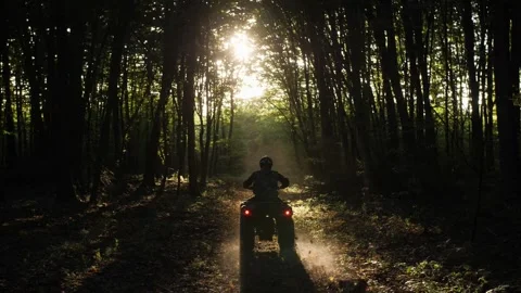 A man on an ATV rides in a dark forest in the direction of the sun. Video stock 161182000