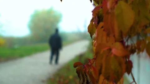 Man in autumn clothes Stock Footage 81642715