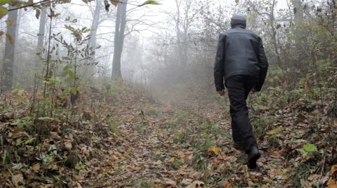 Man in autumn forest Stock Footage 57853267