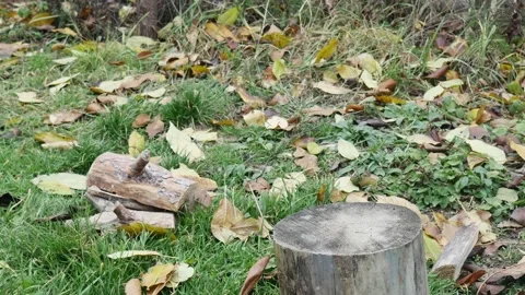 A man with an ax cuts a log in the grass, close-up Vídeos de archivo 224074399