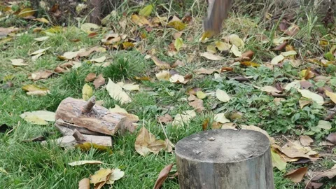 A man with an ax cuts a log in the grass Stock Footage 224074707