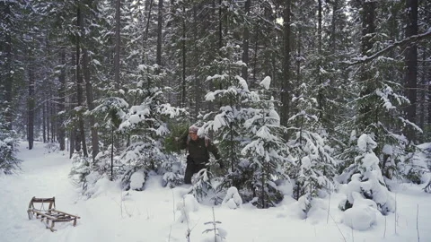 A man with an axe and a Christmas tree comes out of the forest.  Stock Footage 164404334