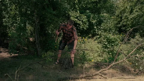 A man with an axe chops branches from a tree Stock Footage 203903900