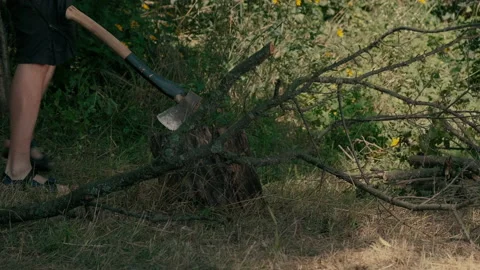A man with an axe chops branches from a tree Stock Footage 203903909