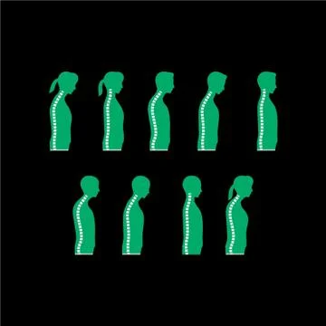 Man back bone silhouette design for design project or medical Stock Illustration