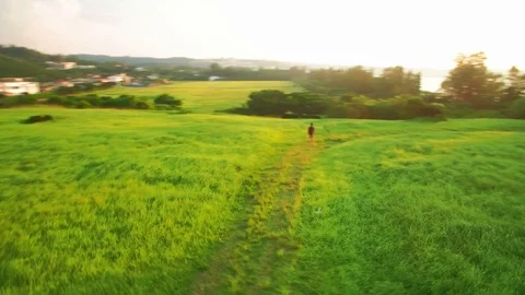 Man with a back pack walking in a grass field at sunset with drone movement Video stock 125111676