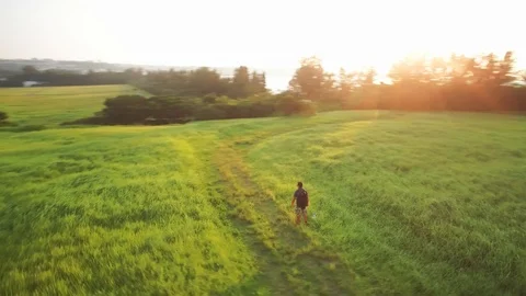Man with a back pack walking in a grass field at sunset with drone movement Stock Footage 125111696