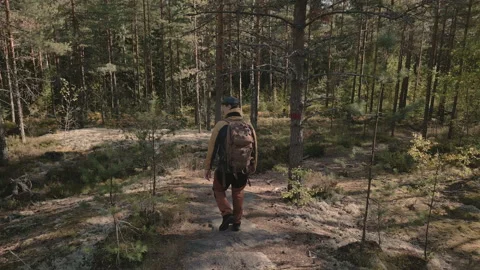 A man with a backbag hiking in the forest. Drone following the man. Stock Footage 211100150