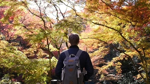 Man With Backpack Among Autumn Trees Stock Footage 77796409
