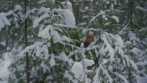 A man with a backpack and a Christmas tree  in winter spruce forest Stock Footage 164403071