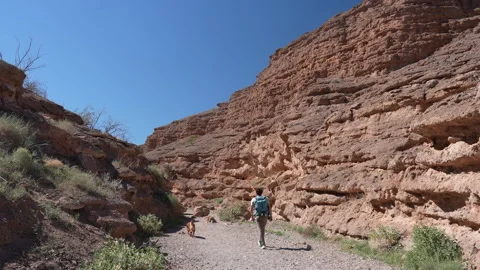 Man With Backpack and Dog Walking on Desert Trail, White Owl Canyon Trailhead Stock Footage 342047536